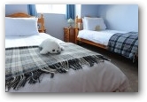 Twin Bedroom  &raquo; Click to zoom ->