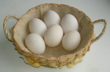 Shetland Duck Eggs