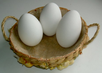 Shetland Goose Eggs