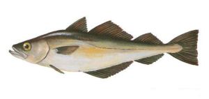 Lyth