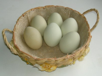 Shetland Hen Eggs