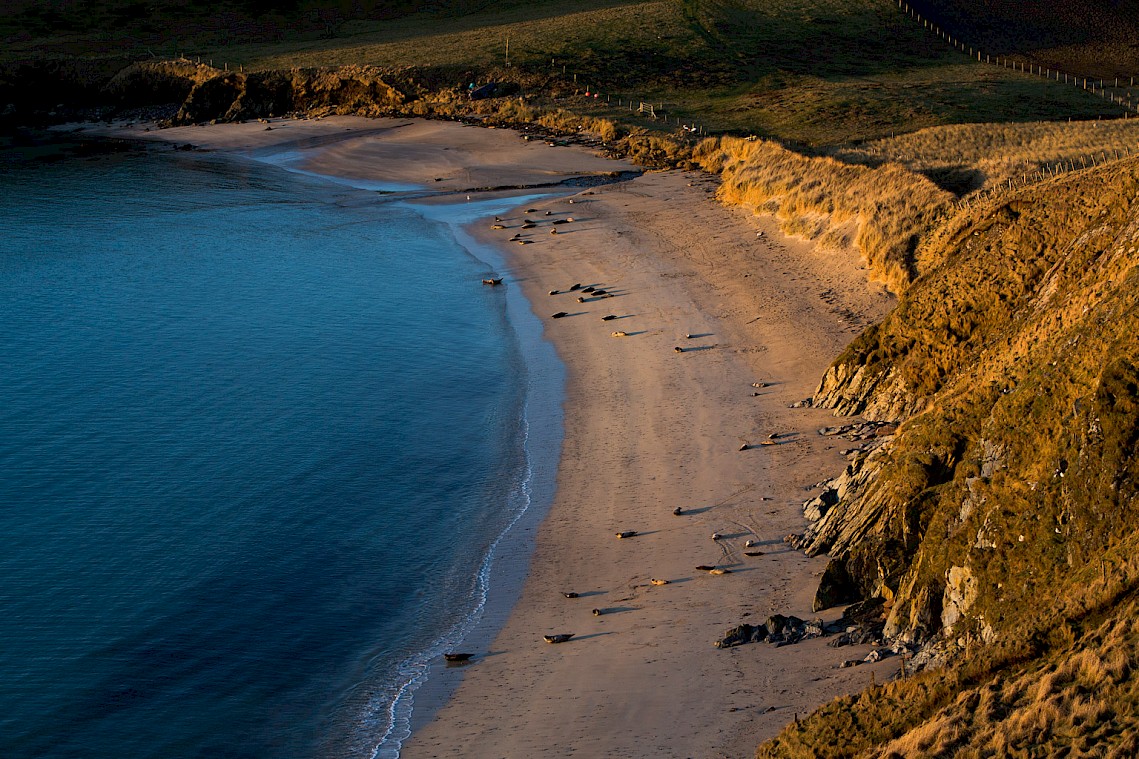 Rerwick beach