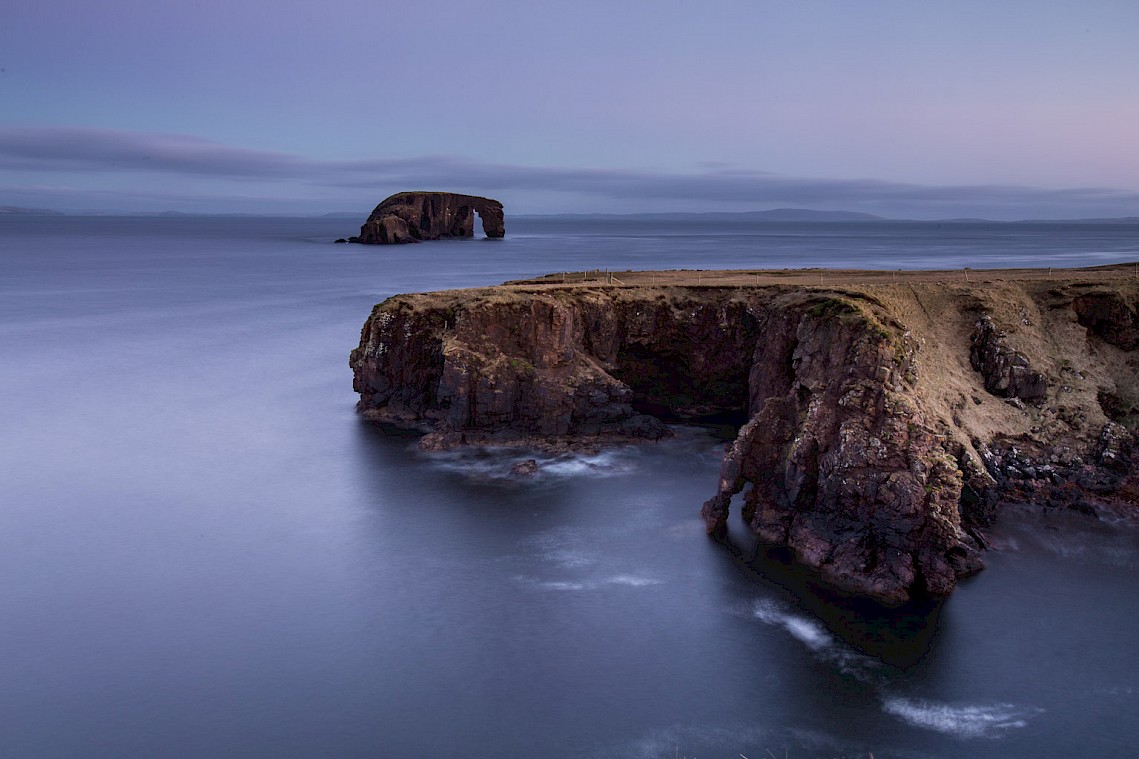 Dore Holm